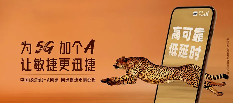 马尾区马尾区罗星街道 移动宽带